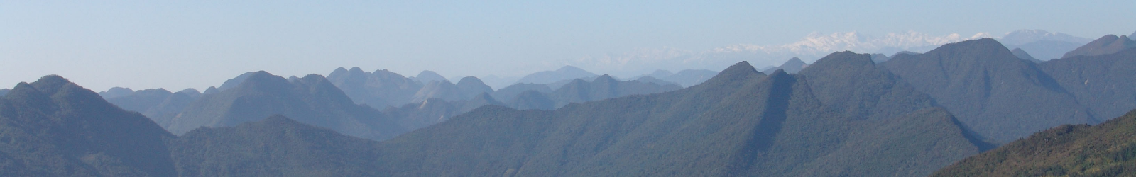 banner標題